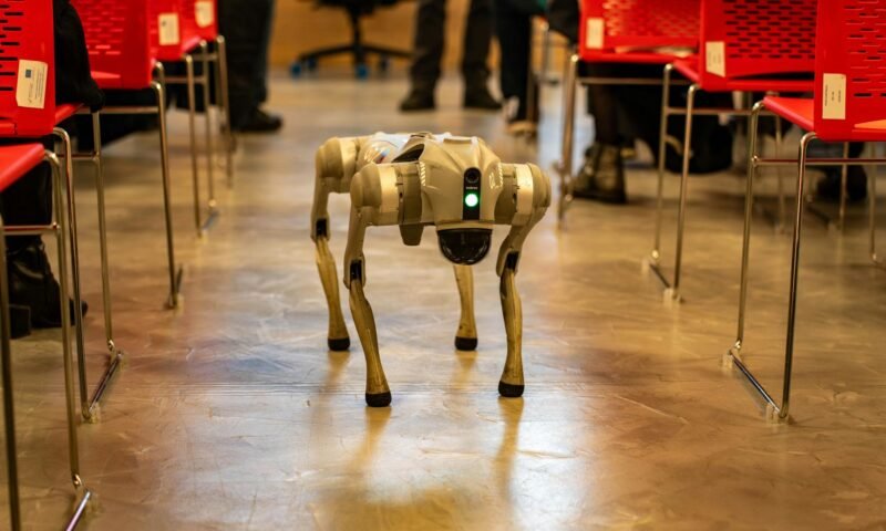 KI im eLearning: Personalisierung und Automatisierung verändern das Lernen