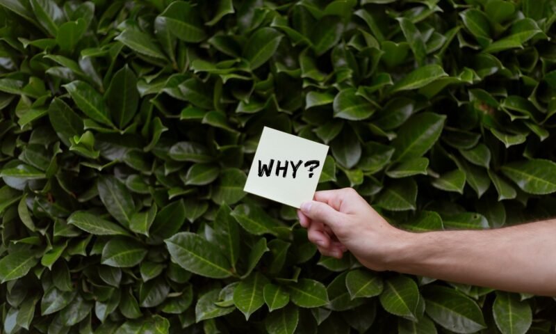 Skills Gap Mythos: Warum L&D-Budgets oft verschwendet werden